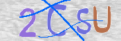 Anti Spam Code